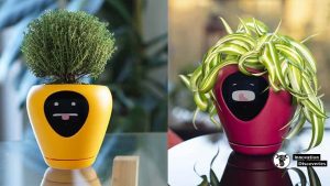 This Smart Pot Has An Animated Face That Tells You How Your Plant Is Feeling