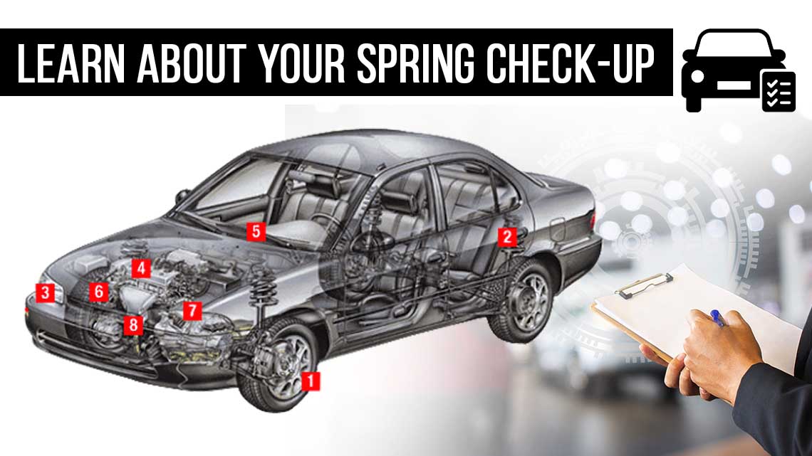Learn About Your Spring Check-up