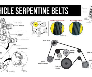 Vehicle Serpentine Belts
