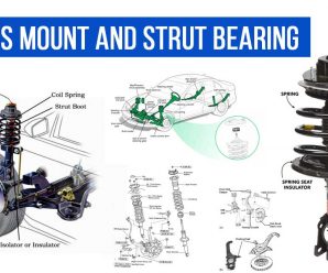 Struts Mount And Strut Bearing | Q & A