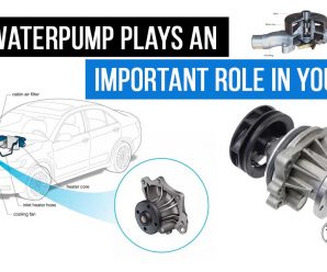 The Waterpump plays an important role in your Car