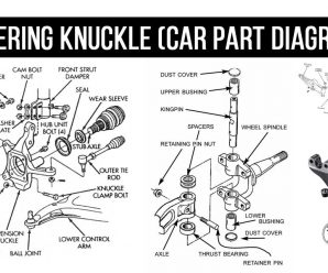 Steering knuckle (Car Part Diagram)