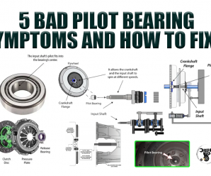 5 Bad Pilot Bearing Symptoms (and How to Fix It)
